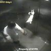 Video: Harlem Man Caught Violently Yanking Dog